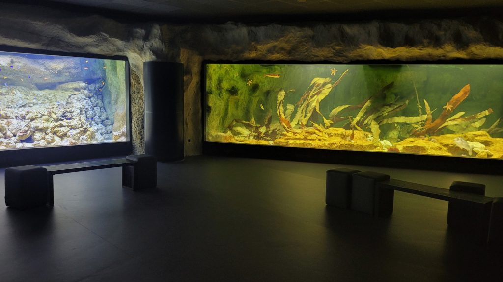 Aquarium-de-Lyon