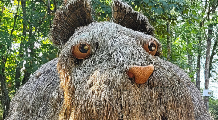 Balades Land Art autour de Lyon : des sorties pour casser la routine !