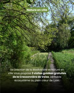 Cressonniere-de-Vaise-Lyon-Nature