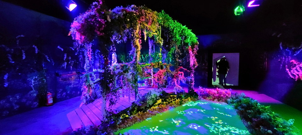 claude_monet_the_immersive_experience_a_lyon