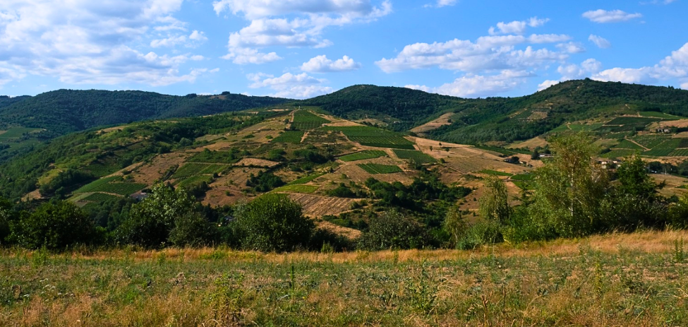 visite beaujolais Clochemerle (Vaux-en-Beaujolais) et ses fresques satiriques